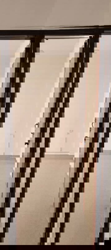 2 BHK + Pooja Room Apartment For Rent in Abrol House