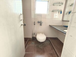 Bathroom in 1 BHK Apartment at Amaltas CHS Vasant Vihar, Vasant Vihar – for Rent