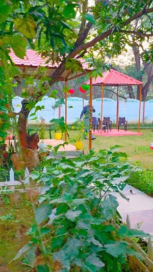  Plot – Garden View at Emaar Gomti Greens, Gomti Nagar - for Sale