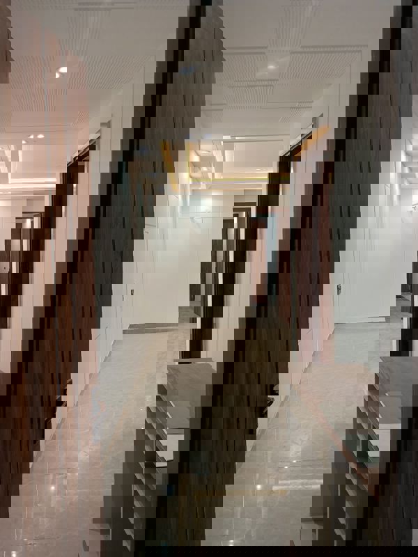 3.5 BHK + Pooja Room,Study Room Builder Floor For Rent in Mahavir Enclave 1