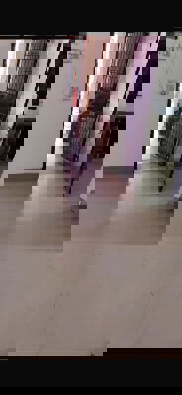 2 BHK Apartment For Sale in Pandav Nagar