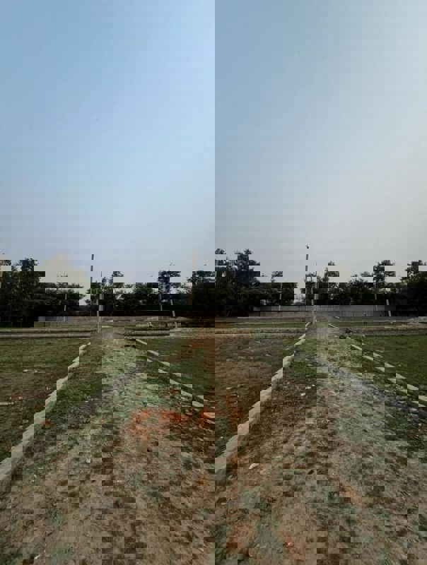 Plot For Sale in Jewar