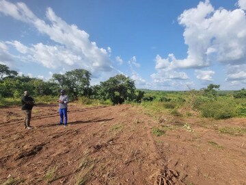  Plot For Sale in Jewar