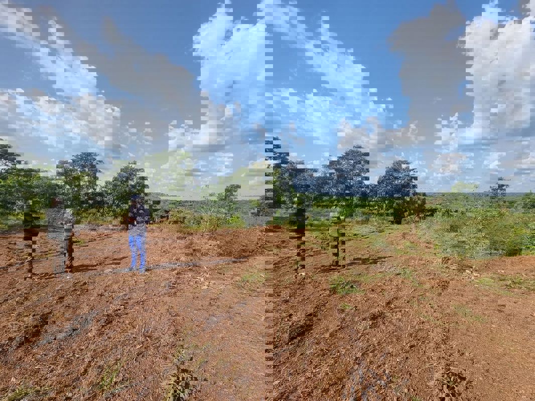 Plot For Sale in Jewar