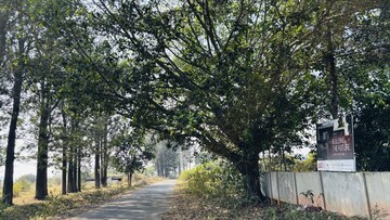  Plot – Exterior View View at Sarjapur Bagalur Road - for Sale