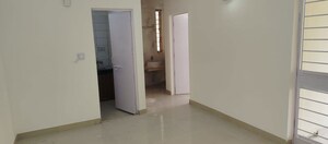 1 BHK Apartment For Rent in Vasant Kunj