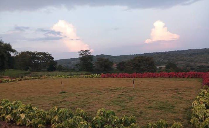 Plot For Sale in Hoskote