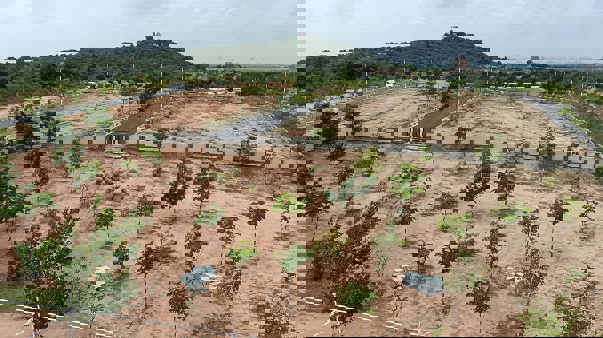 Plot For Sale in Ibrahimpatnam