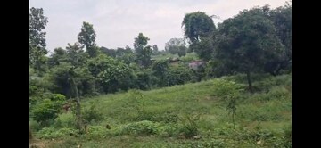  Plot – Exterior View View at Vikas Nagar - for Sale