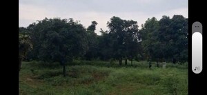 Plot Area in  Plot at Vikas Nagar – for Sale