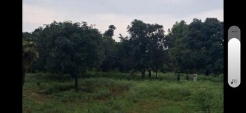 Plot Area in  Plot at Vikas Nagar – for Sale