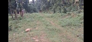  Plot For Sale in Vikas Nagar