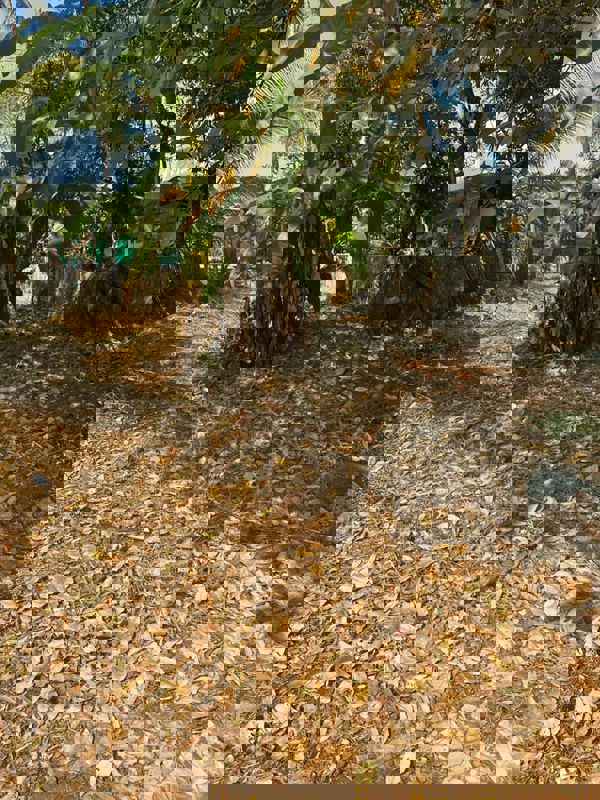 Plot For Sale in Thrissur Road