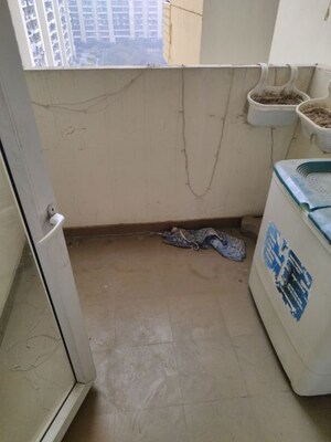 2 BHK Apartment For Rent in Tulip Lemon, Sector 69