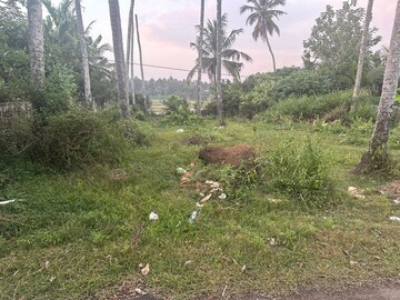 Plot Area in  Plot at Olarikara – for Sale