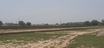 100 Sq.Yd. Plot in Jewar