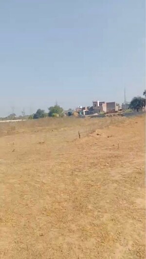  Industrial Plot For Sale in Sector 116