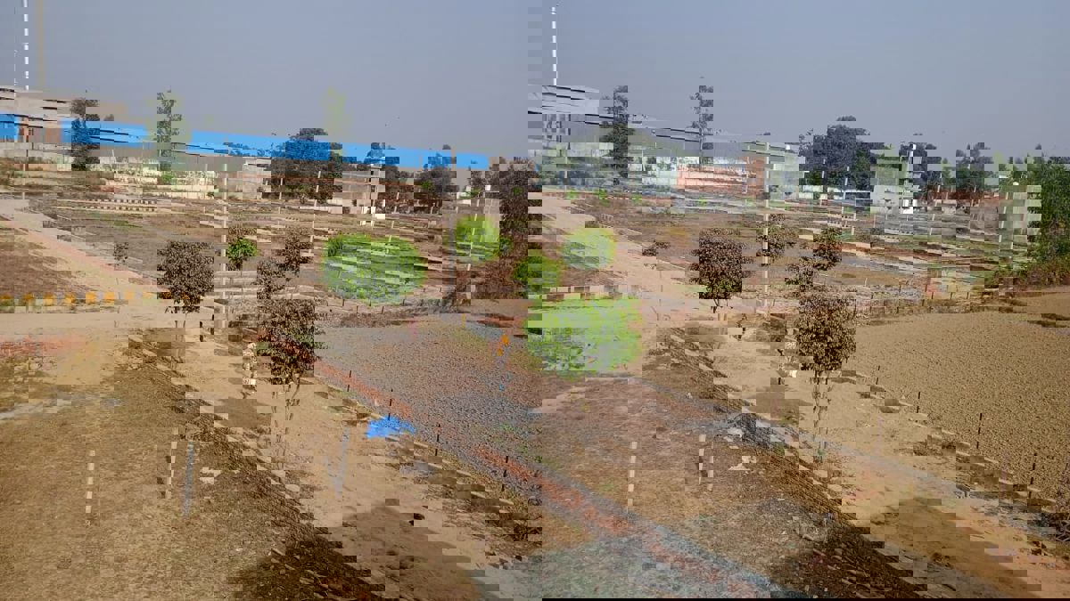 Plot For Sale in Mohanlalganj