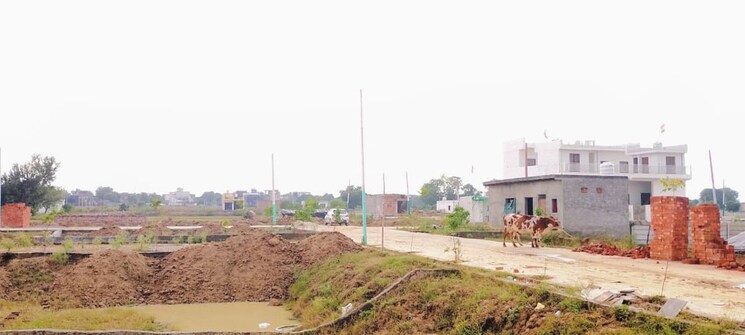 undefined, tilapta  100 Sq.Yd. Plot In Tilapta Greater Noida 9811485