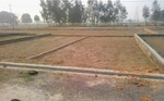 530 Sq.Yd. Plot in DLF Phase I