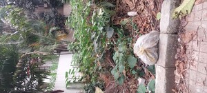  Plot For Sale in Uttarahalli