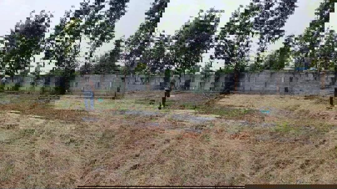 Plot For Sale in Kaggalipura