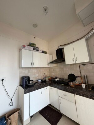 Kitchen in 3.5 BHK Builder Floor at RWA Apartments Sector 40, Sector 40 – for Rent