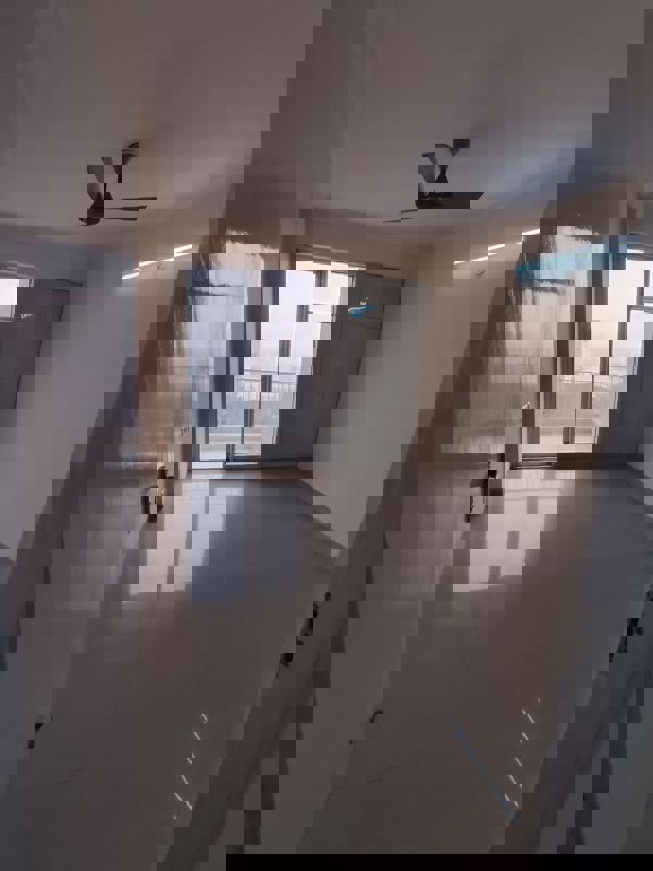 3.5 BHK Builder Floor For Rent in RWA Apartments Sector 40