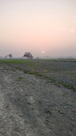 Plot Area in  Plot at Dibdiba – for Sale