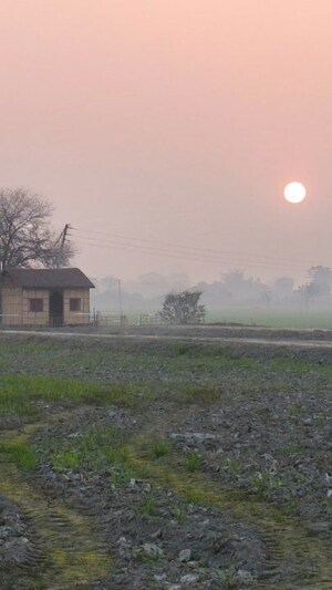  Plot For Sale in Dibdiba