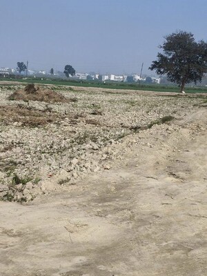 Plot Area in  Plot at Dibdiba – for Sale