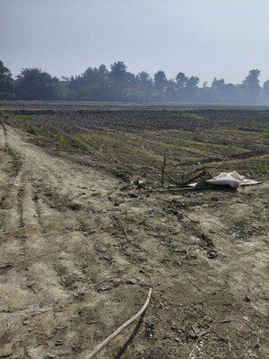 Plot Area in  Plot at Dibdiba – for Sale