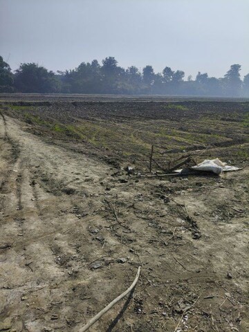 Plot Area in  Plot at Dibdiba – for Sale