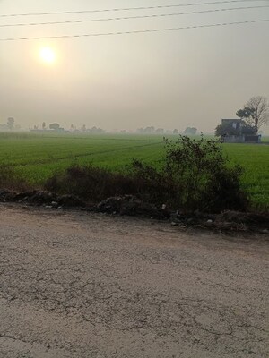  Land For Sale in Samalkha