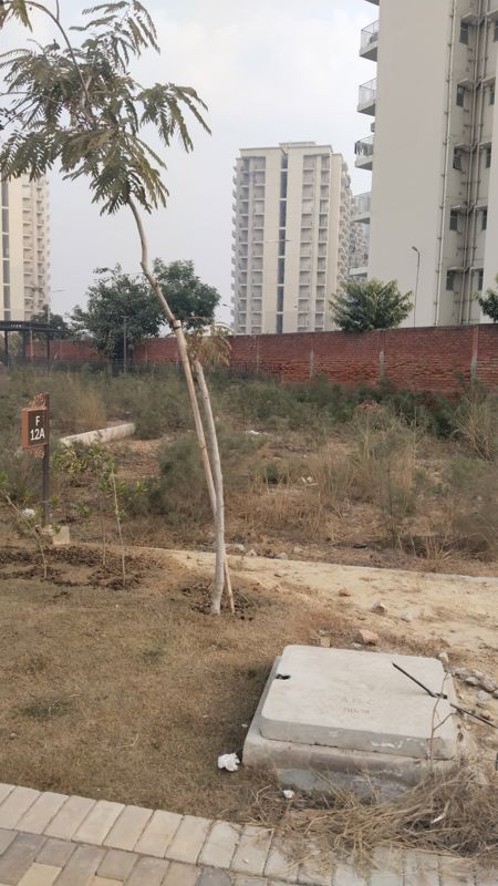 Plot For Sale in BPTP Amstoria Plot