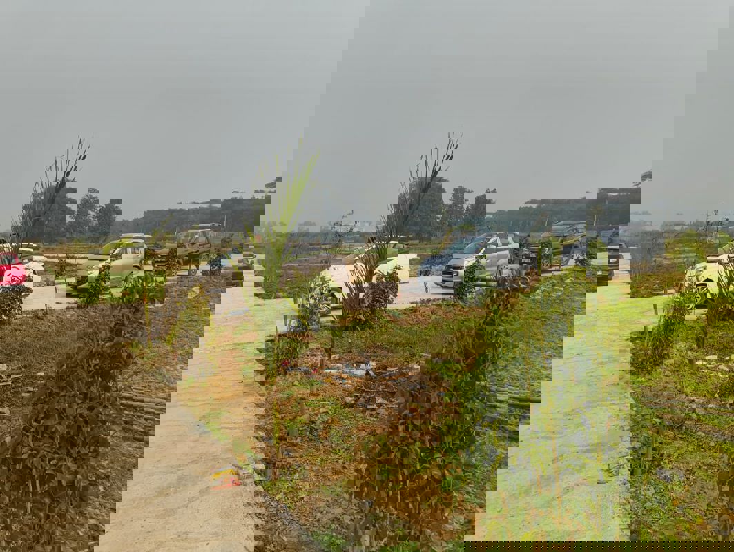 Plot For Sale in Dadri