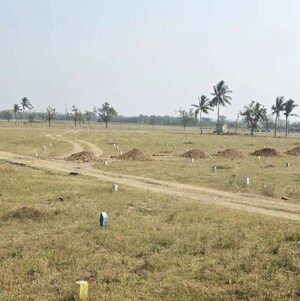  Plot For Sale in New Panvel