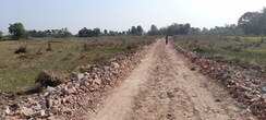 Plot For Sale in Joka