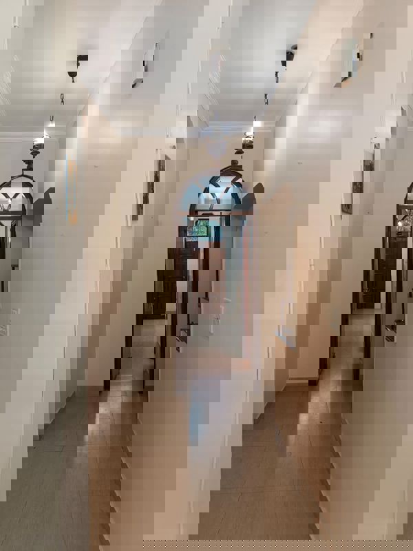 3 BHK + Pooja Room 2000 Sq.Ft. Apartment in RWA Apartments Sector 29