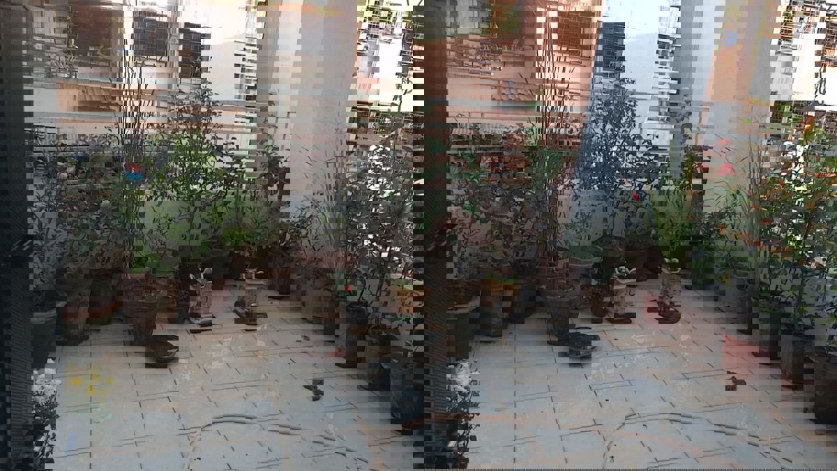 3 BHK Apartment For Sale in Megh Malhar Apartment