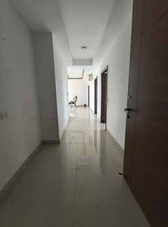 3 BHK + Servant Room Apartment For Rent in Jaypee Kalypso Court