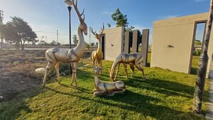  Plot – Exterior View View at Ujjain Road - for Sale