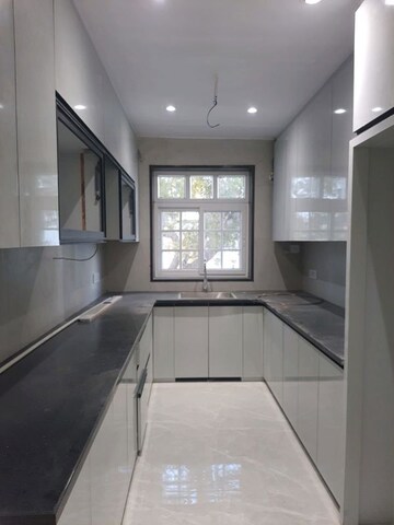 Kitchen in 3 BHK Builder Floor at Ansal Plaza Sector-23, Sector 23 – for Rent