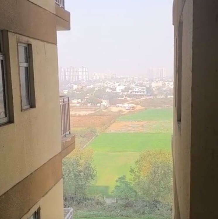 Swimming Pool, rise-organic-homes 2.5 Bedroom 1239 Sq.Ft. Apartment In Mahurali Ghaziabad 9812597