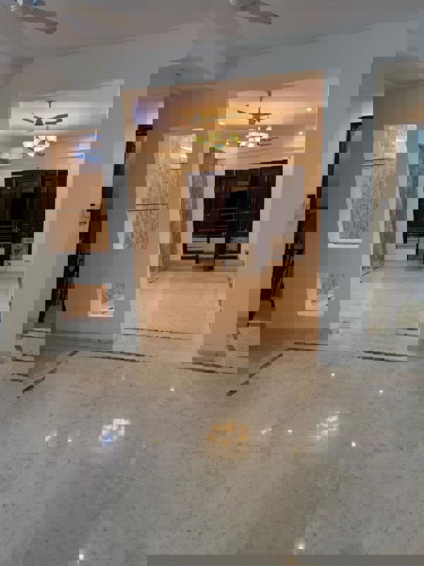 3 BHK + Pooja Room Builder Floor For Rent in Saket