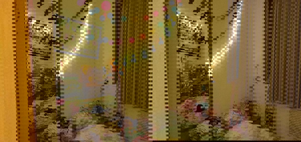 1 BHK 462 Sq.Ft. Apartment in Anand Heights