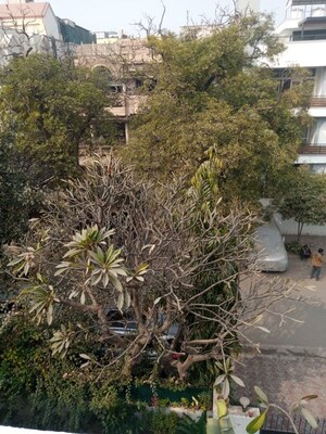 Plot Area in 1 BHK Builder Floor at New Friends Colony – for Rent