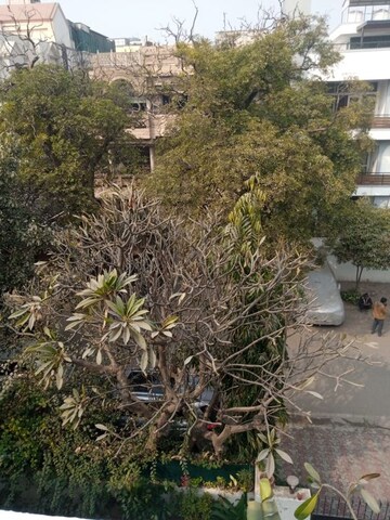 Plot Area in 1 BHK Builder Floor at New Friends Colony – for Rent