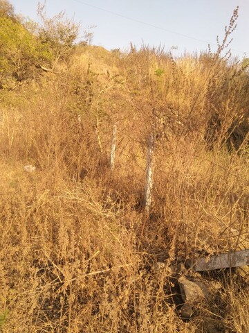 Plot Area in  Plot at Narhe – for Sale