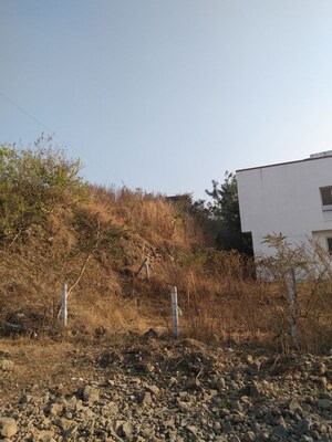  Plot For Sale in Narhe